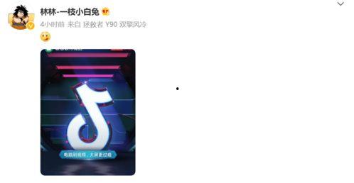 电脑版成人短视频app,电脑版应用的新趋势与体验解析