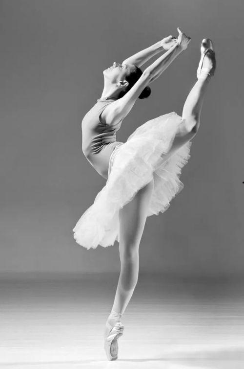 成人简单芭蕾小段视频,成人简单小段教学视频解析