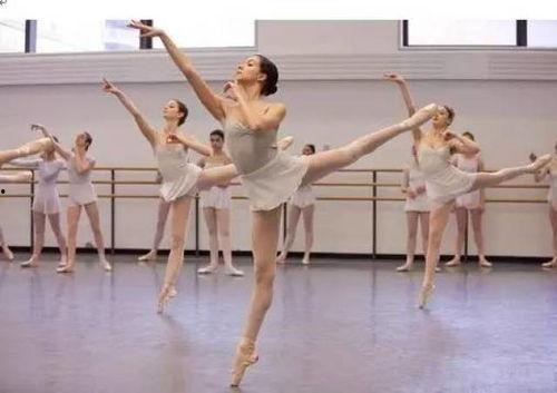 子伶成人舞蹈视频大全,舞动魅力,尽享舞蹈盛宴